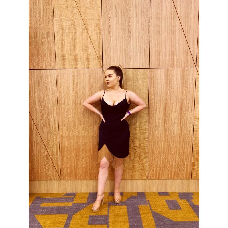 misha collection nicole mini dress