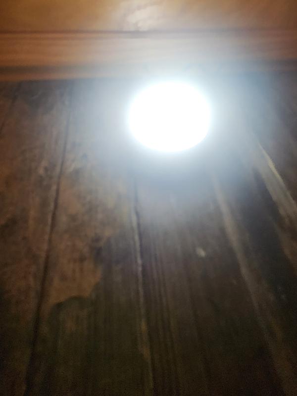 Photo submitted with review of product