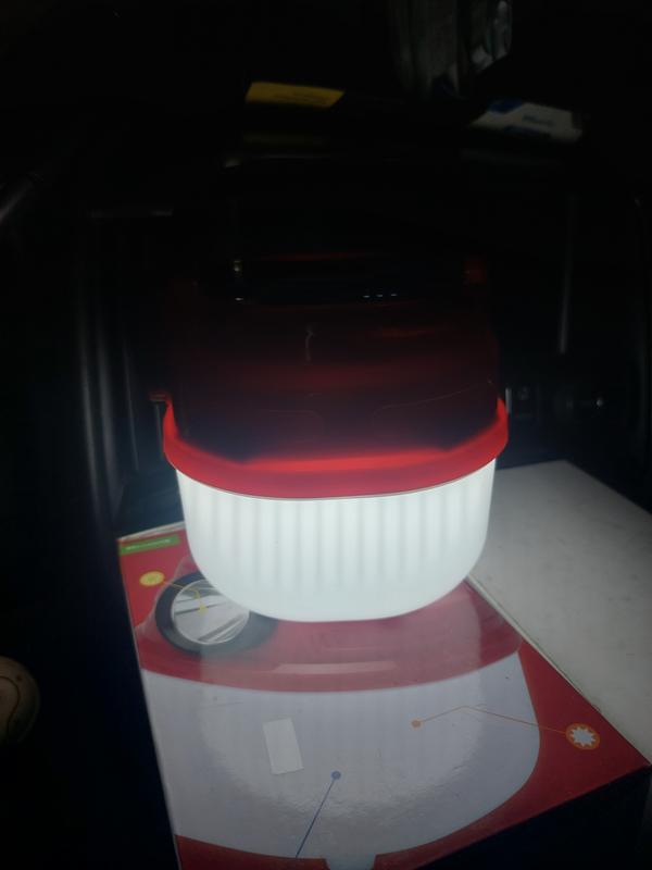 Photo submitted with review of product