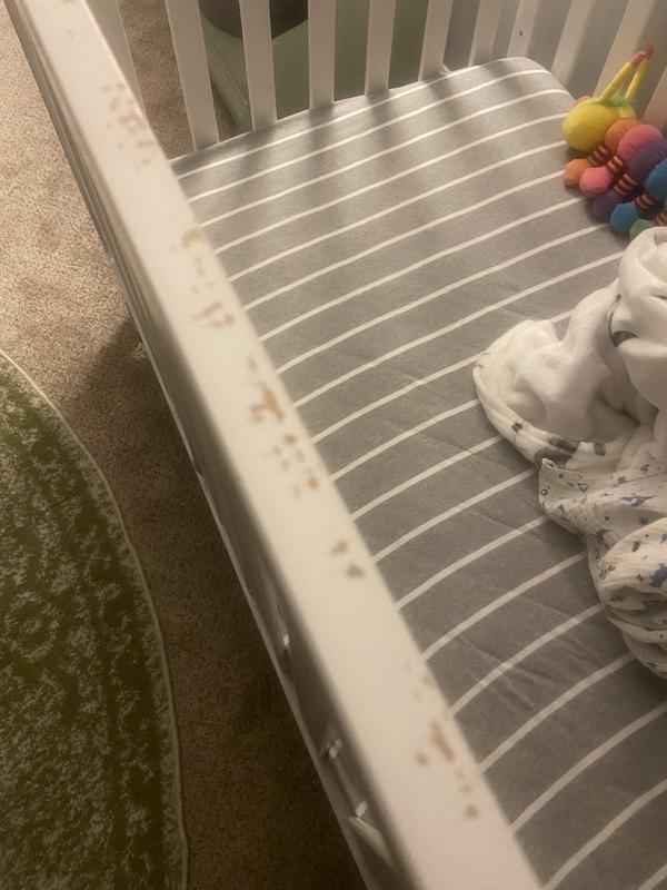 Photo - commentaire&nbsp;3.