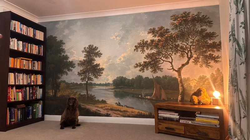 The Thames near Marble Hill Twickenham Bespoke Mural | Blue | Tate