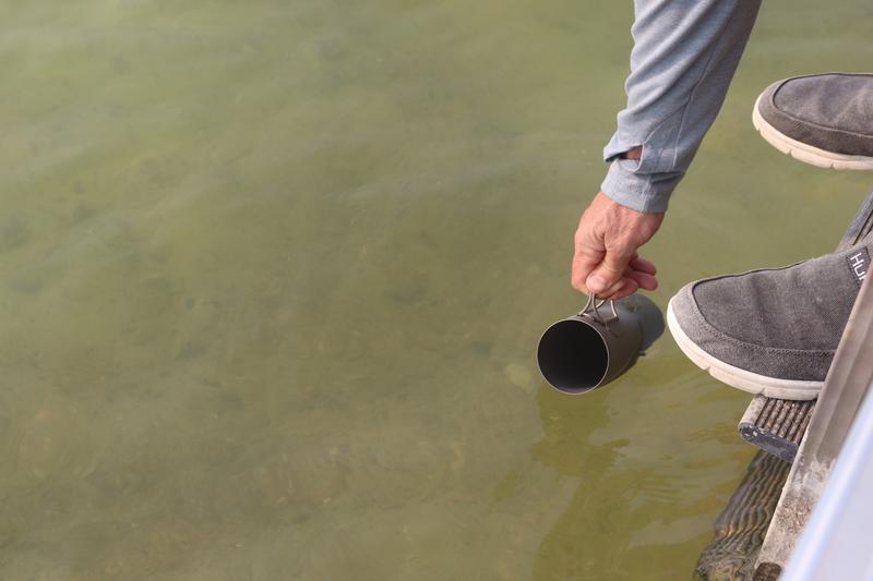 User uploaded product image