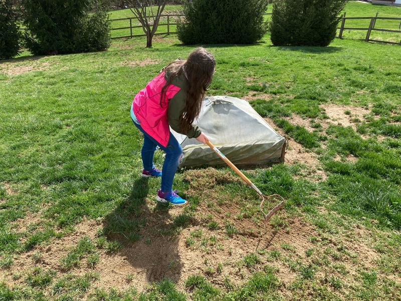 Preparing the ground