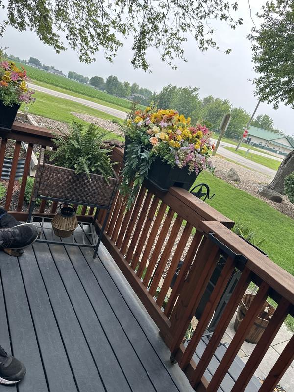 Lush Green And Weed Free