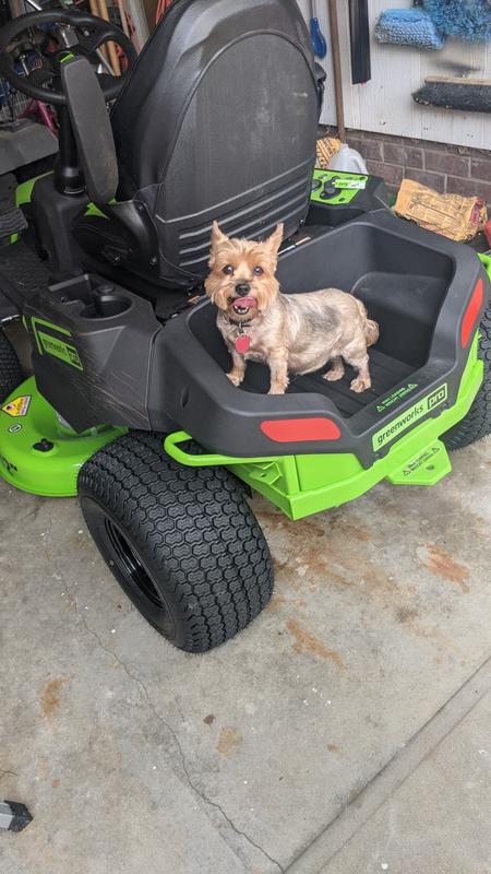 My dog likes to cut grass with me