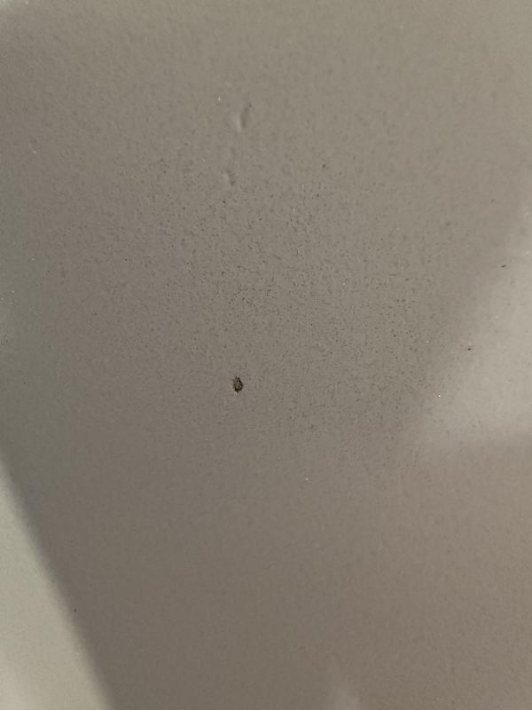 Review Thumbnail Image 0 365481036