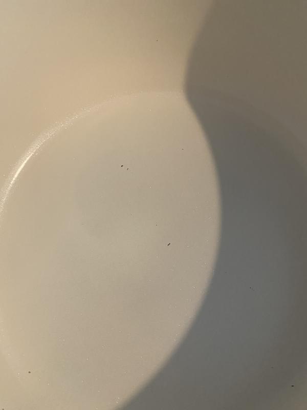 Review Thumbnail Image 0 379500385