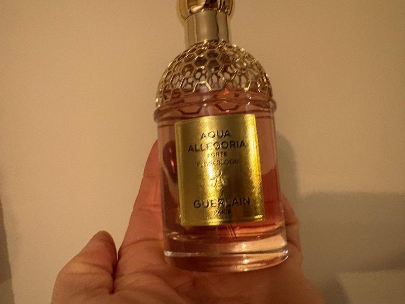 Review Thumbnail Image 1 1208131851