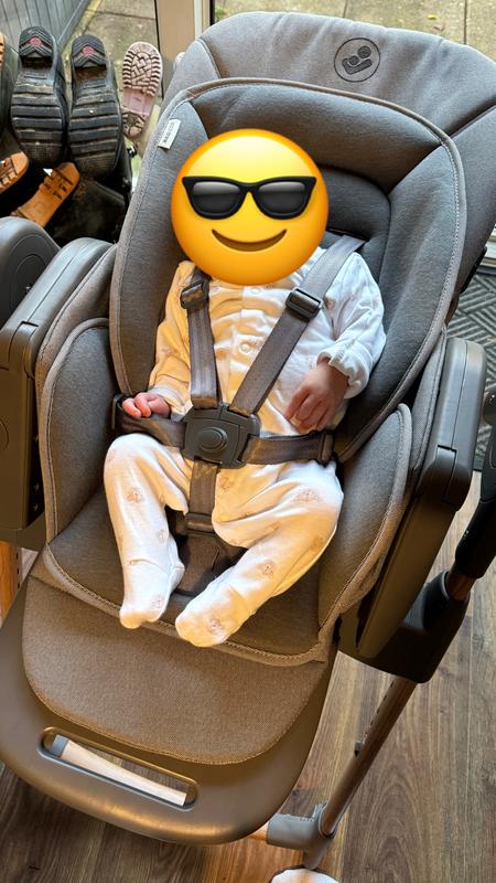Stokke Cinture Tripp Trapp 1Pcs Cinture Universali Per Seggiolone Cinghie Per Seggiolone A 5 Punti, Regolabile Cintura Di Sicurezza Per Bambini Per Seggiolino Cinghie Passeggini Per Bambini Cinghie Per Seggiolino Auto - 2