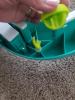 Customer review photo 7