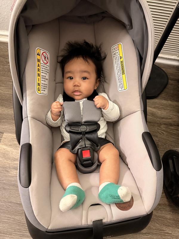 Review Thumbnail Image 0 376137068