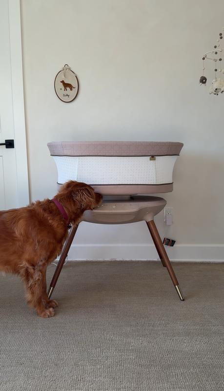 Review Thumbnail Image 0 359885170