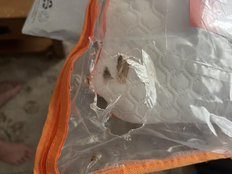 User generated review image 1