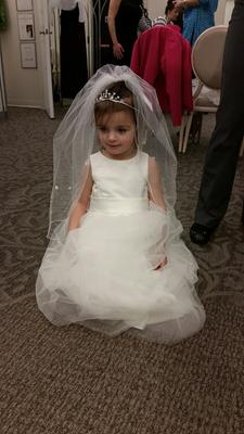 david's bridal s1038