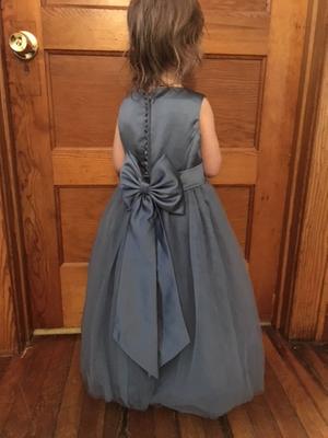 david's bridal s1038