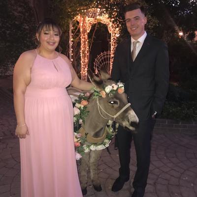 f19953 davids bridal