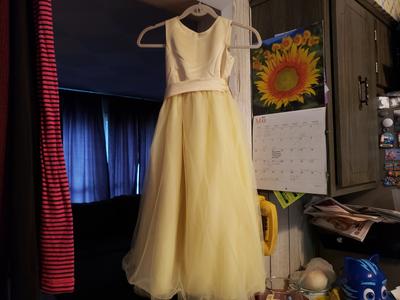 david's bridal s1038