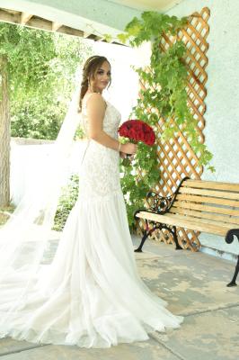 beaded venice lace trumpet wedding dress