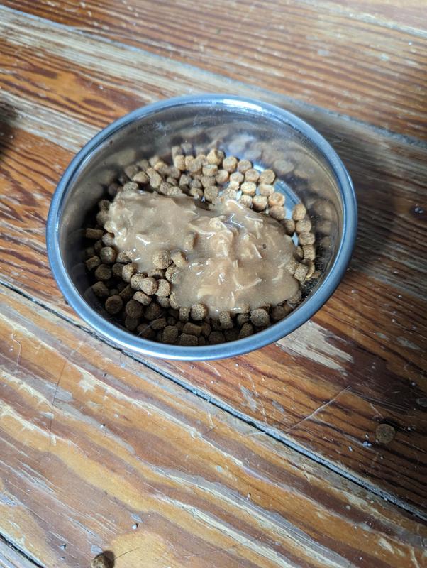 Cat treats as a topper