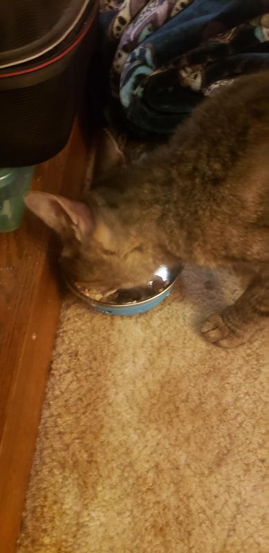 Blurry because he was eating it so fast