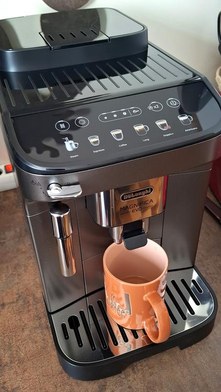 Pièces détachées Magnifica Evo Delonghi FEB29