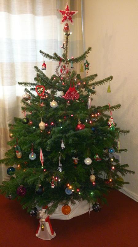 Nordman Fir Real Christmas Tree Diy At B Q