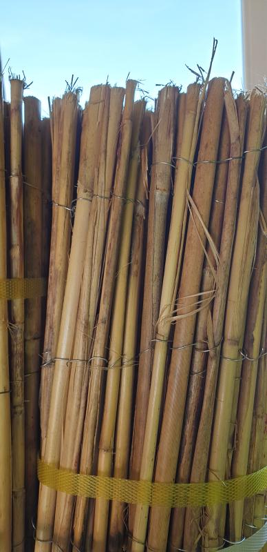 Bamboo Garden Screen H 1 5m W 3m Diy At B Q