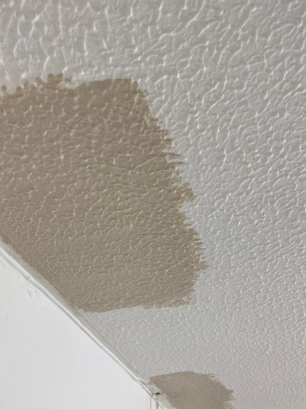 How To Paint An Artex Ceiling With A Roller | Nakedsnakepress.com