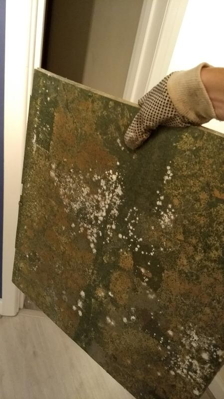 P5 Tongue Groove Chipboard Floor Panel L 2400mm W 600mm T