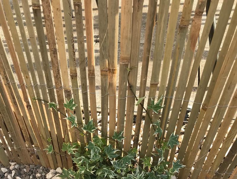 Bamboo Garden Screen H 1 2m W 3m Diy At B Q