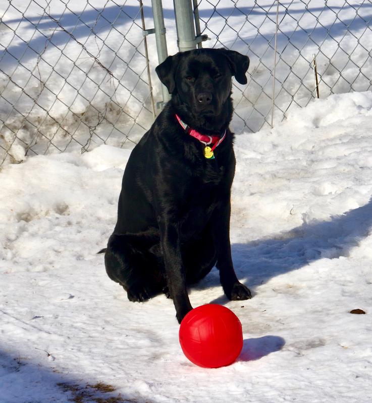 I being outside on a bright sunny winter day