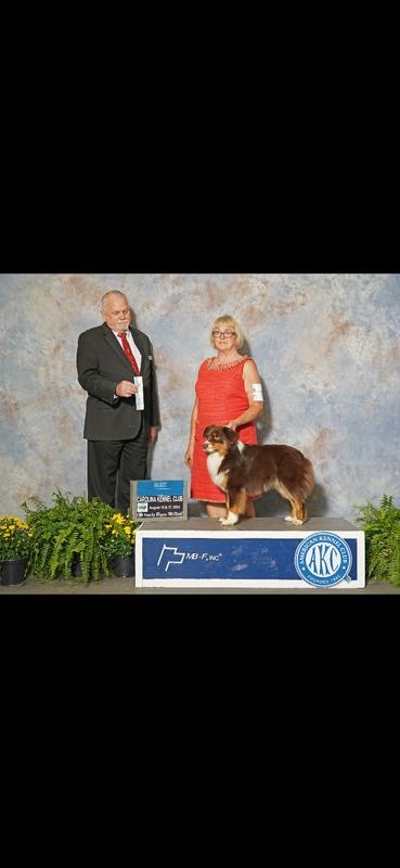 Kidd’s It Wasn’t Me aka Tigger