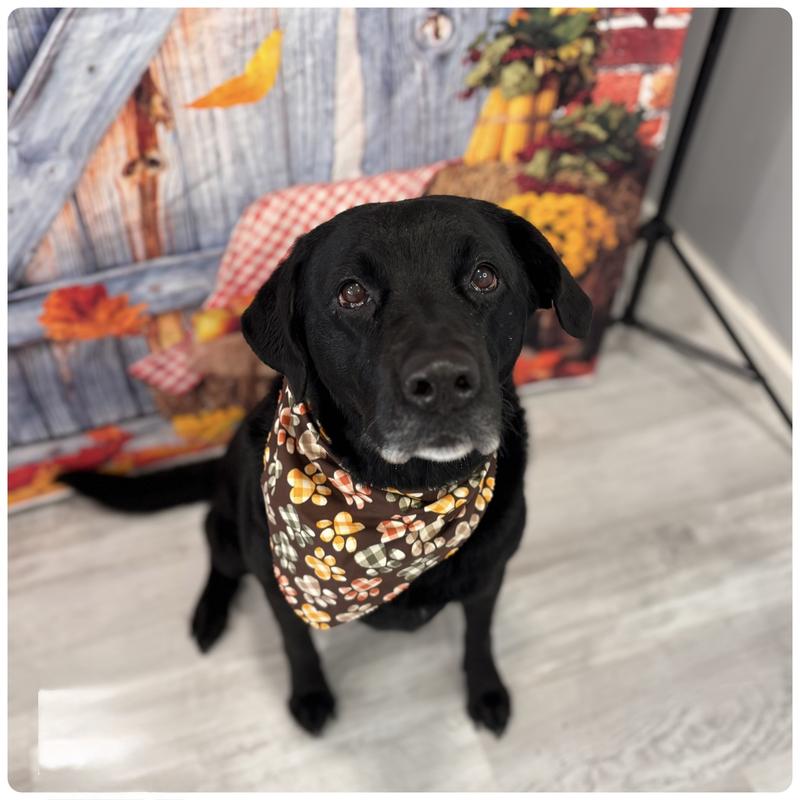 I just had a bath today, and that was really great