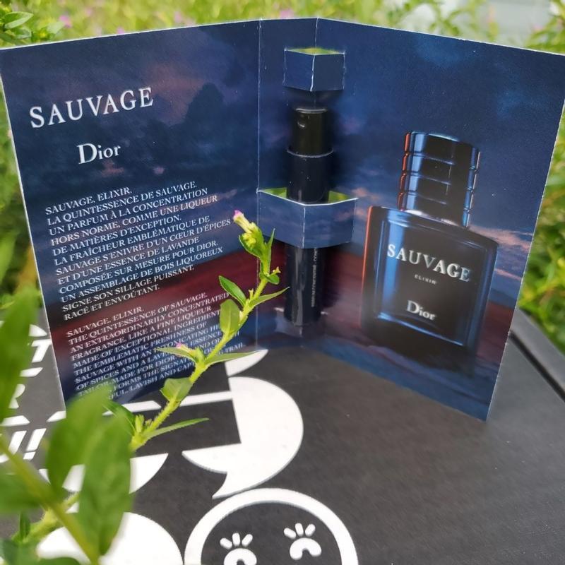 Dior sauvage hotsell parfum ingredients