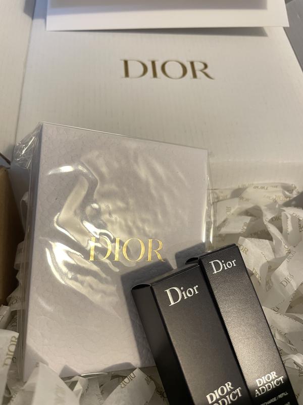 Dior 527 2024 gold day