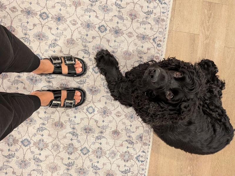 Review Thumbnail Image 1 379319349