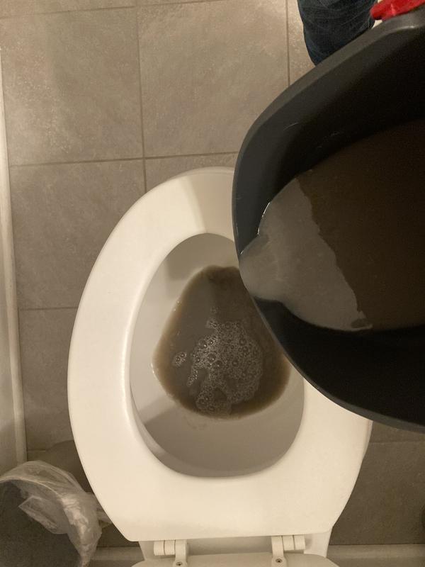 Photo submitted with review of product