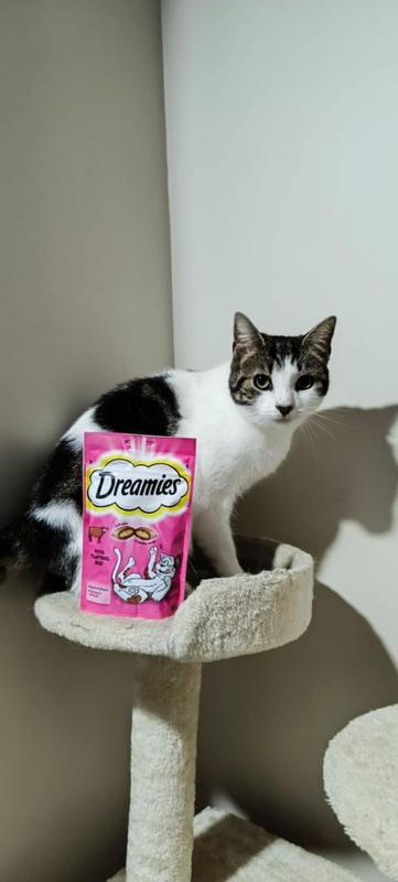 Dreamies cat toy best sale