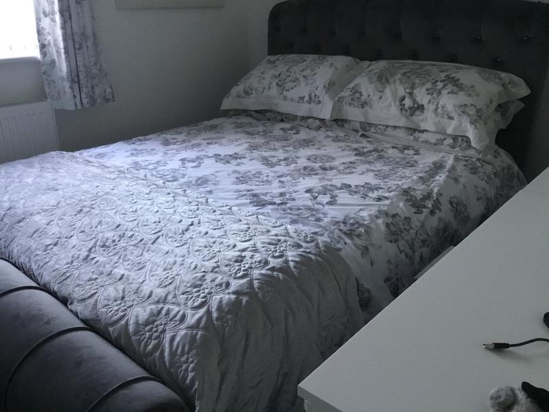 Ellis Velvet-Finish Upholstered Bed