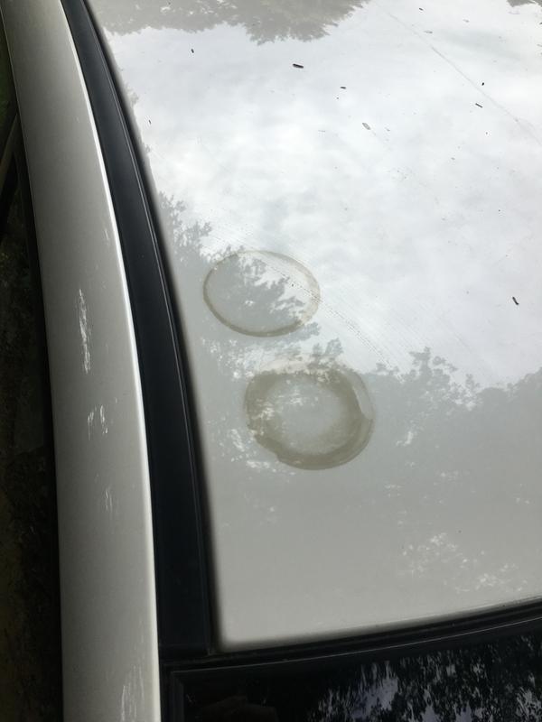 Photo submitted with review of product