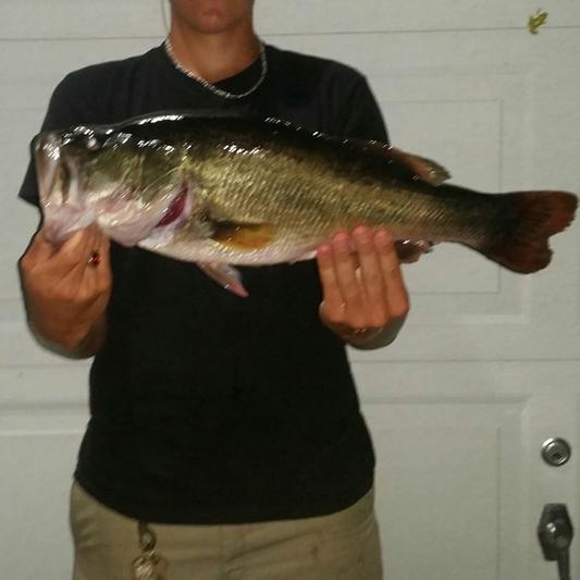 Photo submitted with review of product