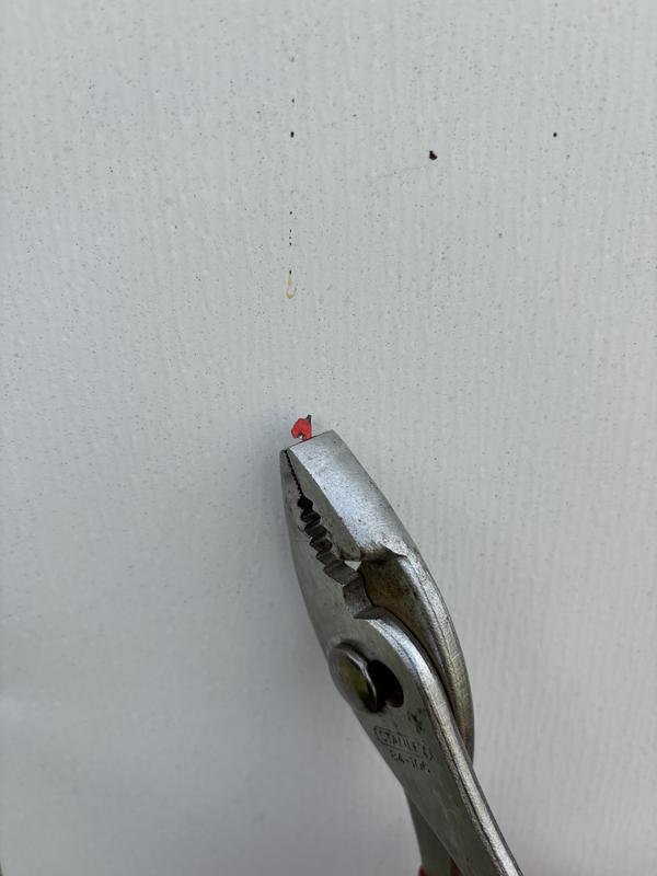 Photo submitted with review of product