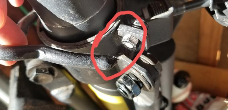 Photo submitted with review of product