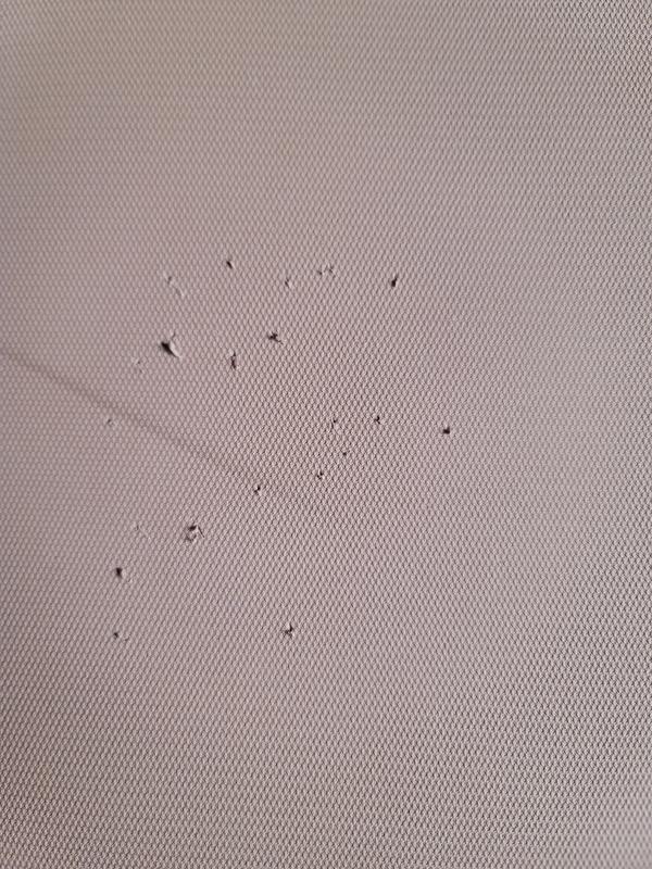 Photo submitted with review of product