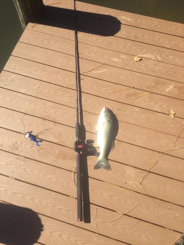 Photo submitted with review of product