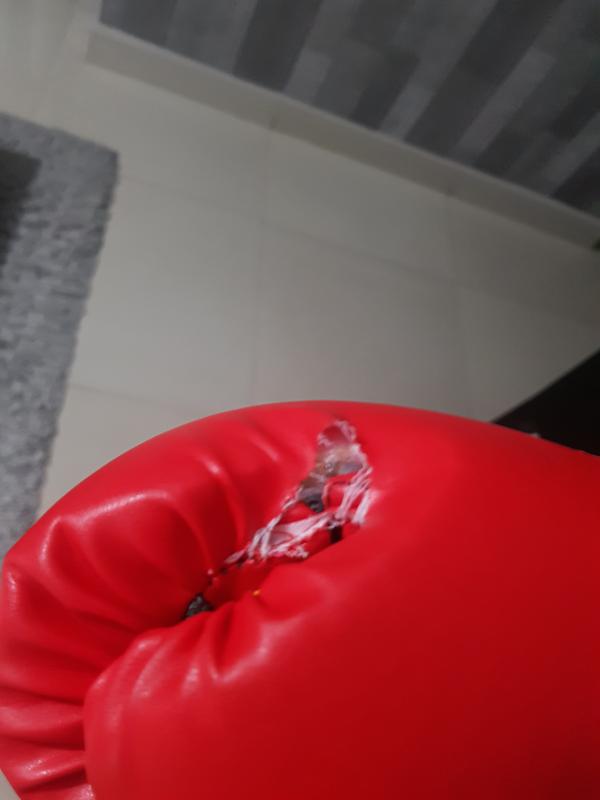 Photo submitted with review of product