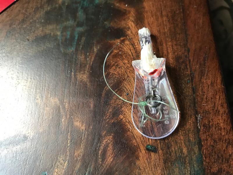 Photo submitted with review of product