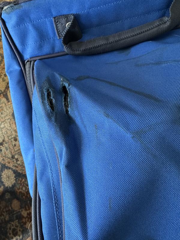 Photo submitted with review of product