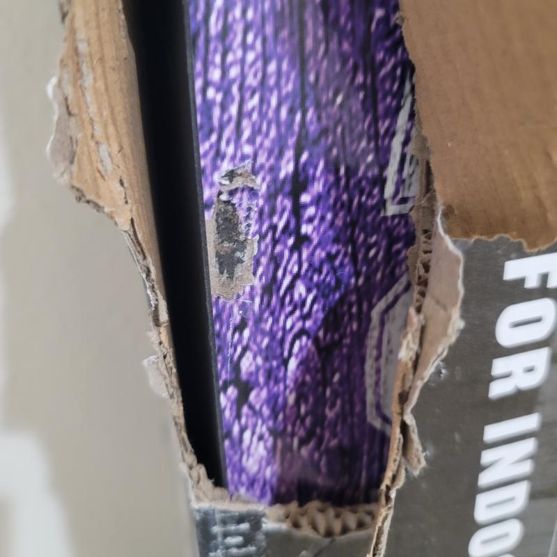 Photo submitted with review of product