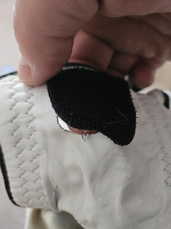 Photo submitted with review of product